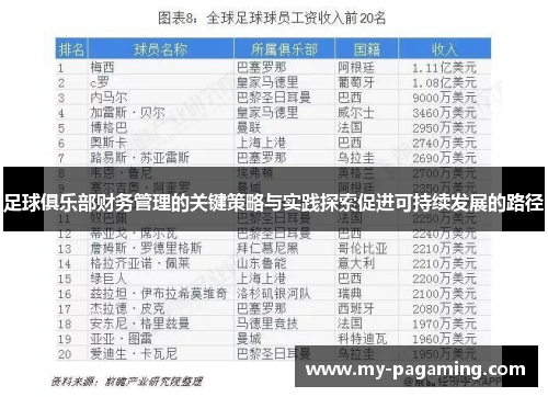 足球俱乐部财务管理的关键策略与实践探索促进可持续发展的路径
