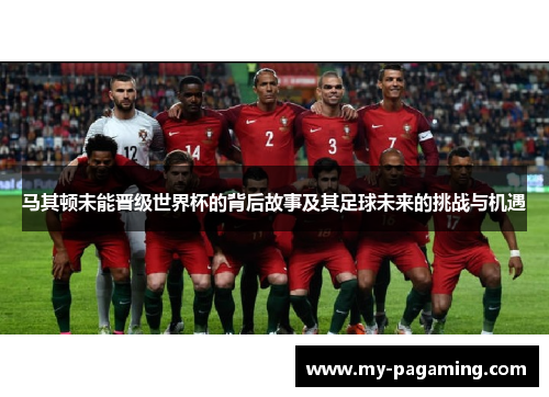 马其顿未能晋级世界杯的背后故事及其足球未来的挑战与机遇