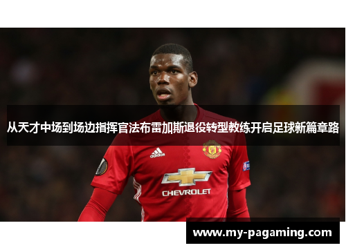 从天才中场到场边指挥官法布雷加斯退役转型教练开启足球新篇章路