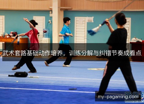 武术套路基础动作培养，训练分解与纠错节奏成看点